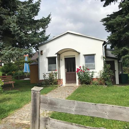 Ferienhaus Am Kaltenstein Olbersdorf Екстериор снимка