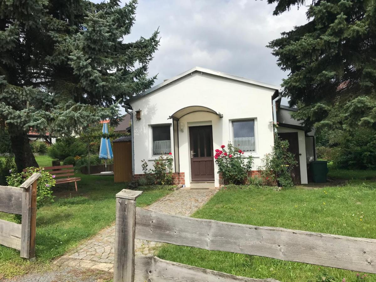 Ferienhaus Am Kaltenstein Olbersdorf Екстериор снимка